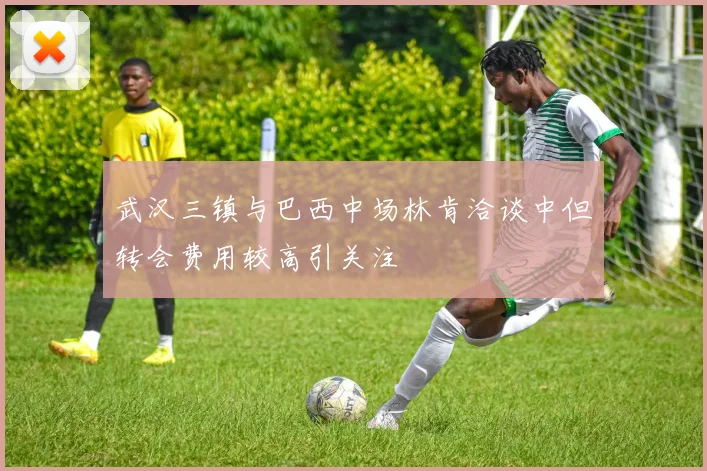 武汉三镇与巴西中场林肯洽谈中但转会费用较高引关注