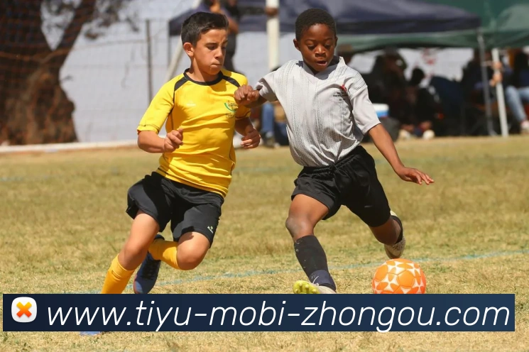 多媒体互动体验